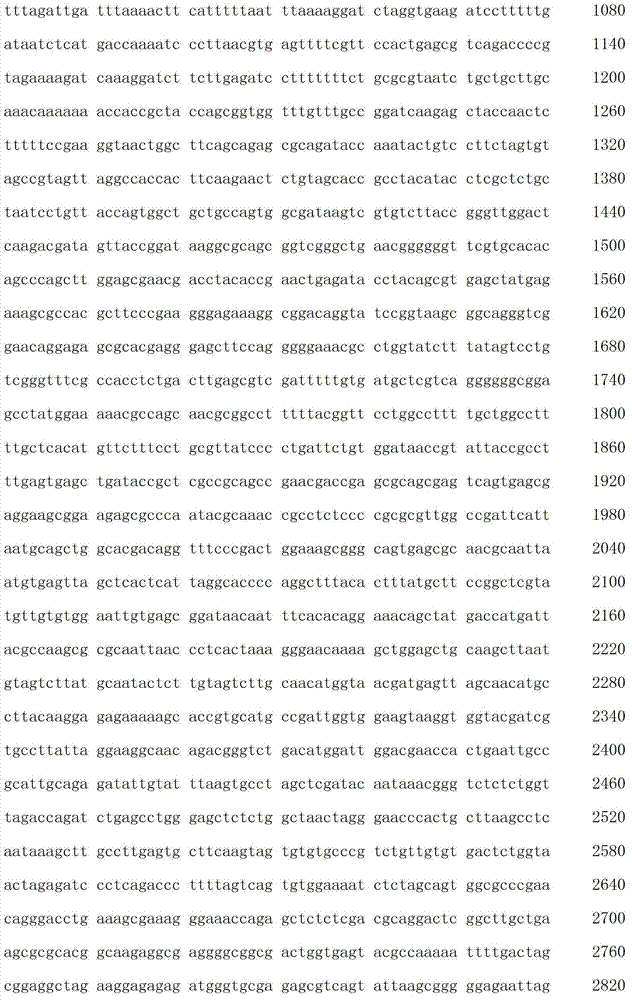 Figure IDA00003076741800641