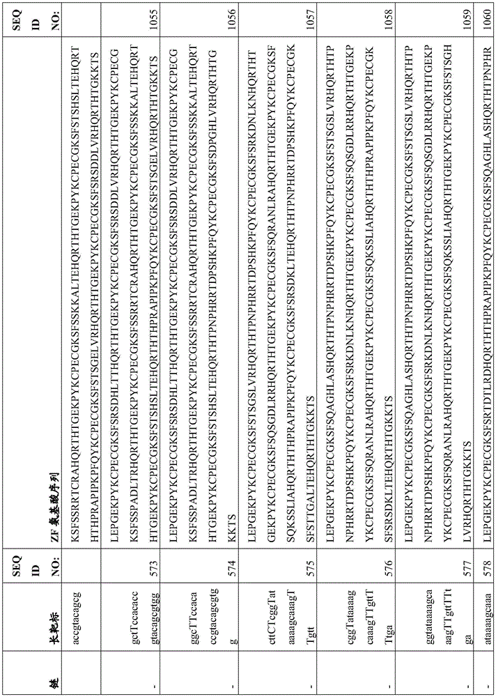 Figure BDA0003935065550001141