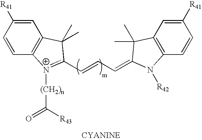 Figure US20070161027A1-20070712-C00024