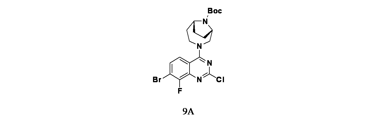 Figure 2024510207000155