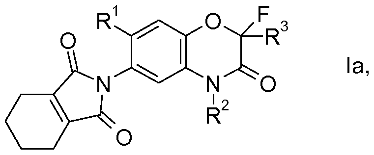 Figure imgf000006_0001