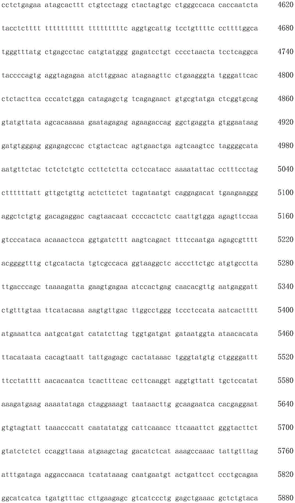 Figure IDA0003936212790000861