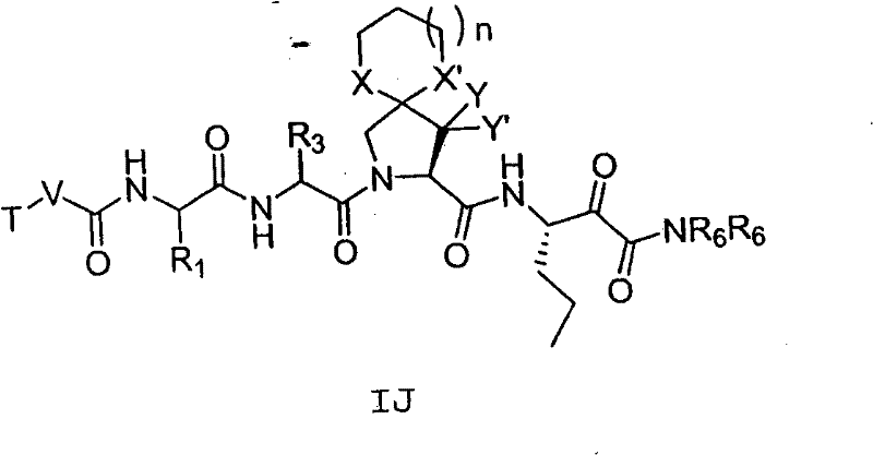 Figure BSA00000313081100431