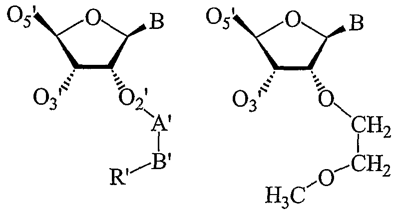 Figure imgf000056_0001