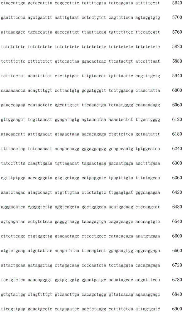 Figure IDA0003936212790000151