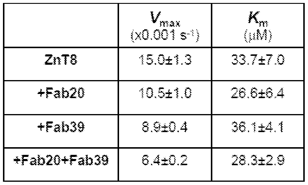 Figure imgf000047_0001