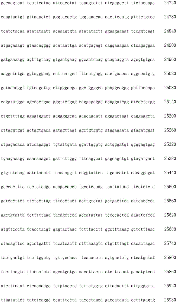 Figure IDA0003936212790001201