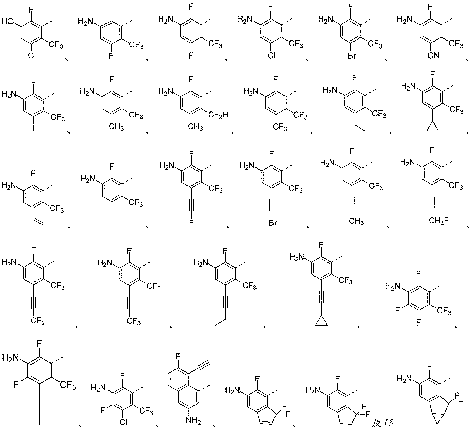 Figure 2025504491000024