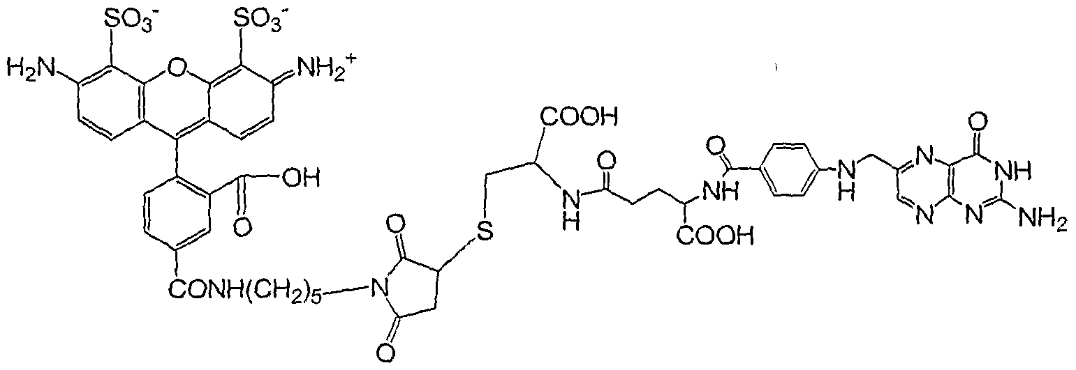 Figure imgf000021_0001