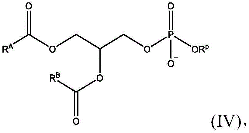Figure BDA0003652566710000382