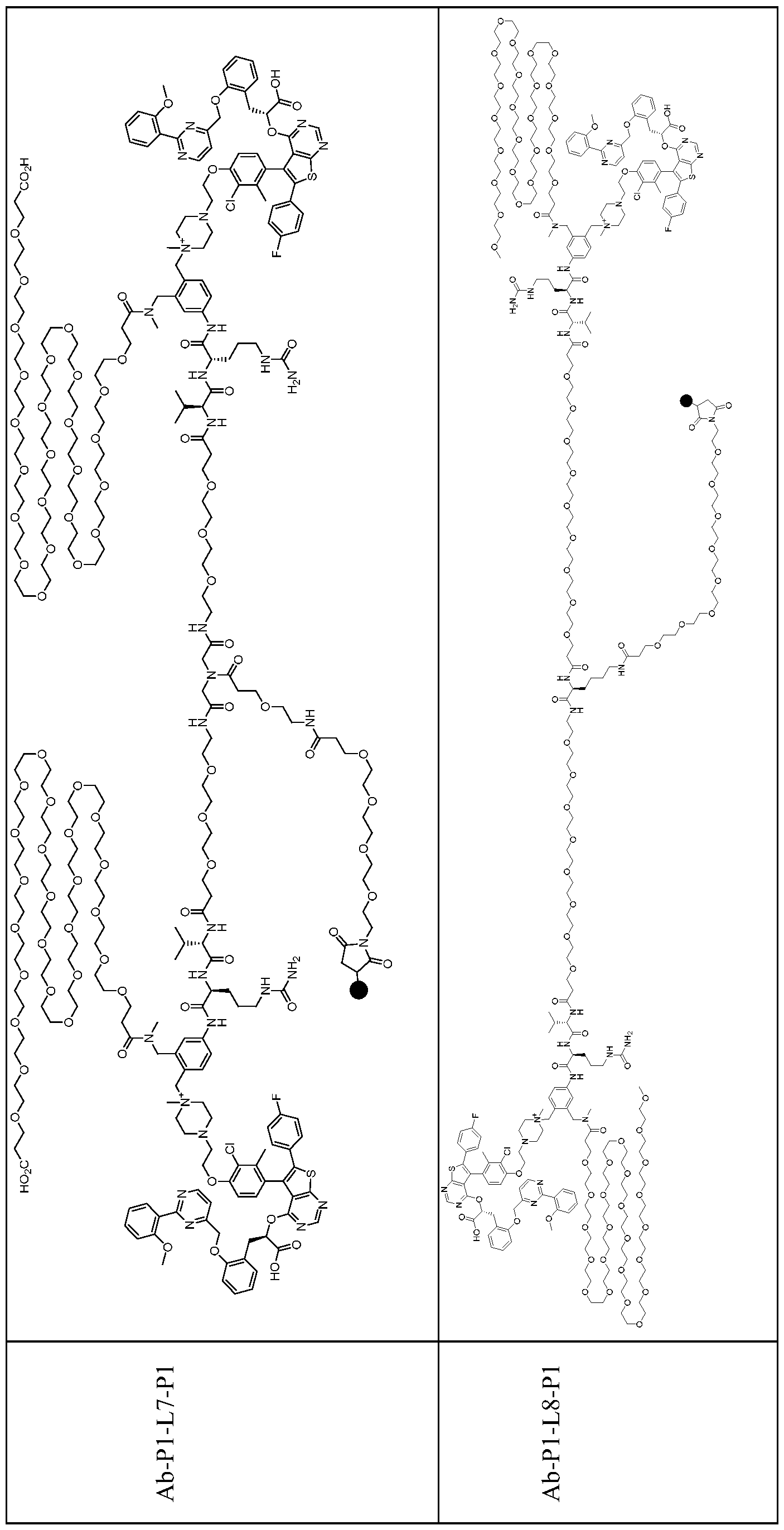 Figure imgf000161_0001
