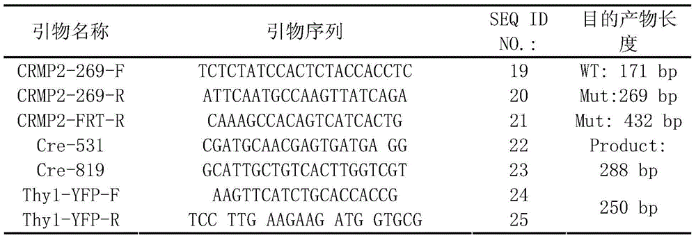 Figure BDA0000383635980000111