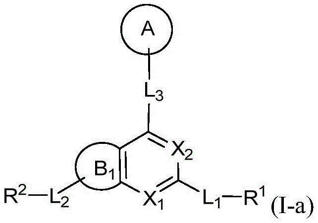 Figure FDA0003616036720000011