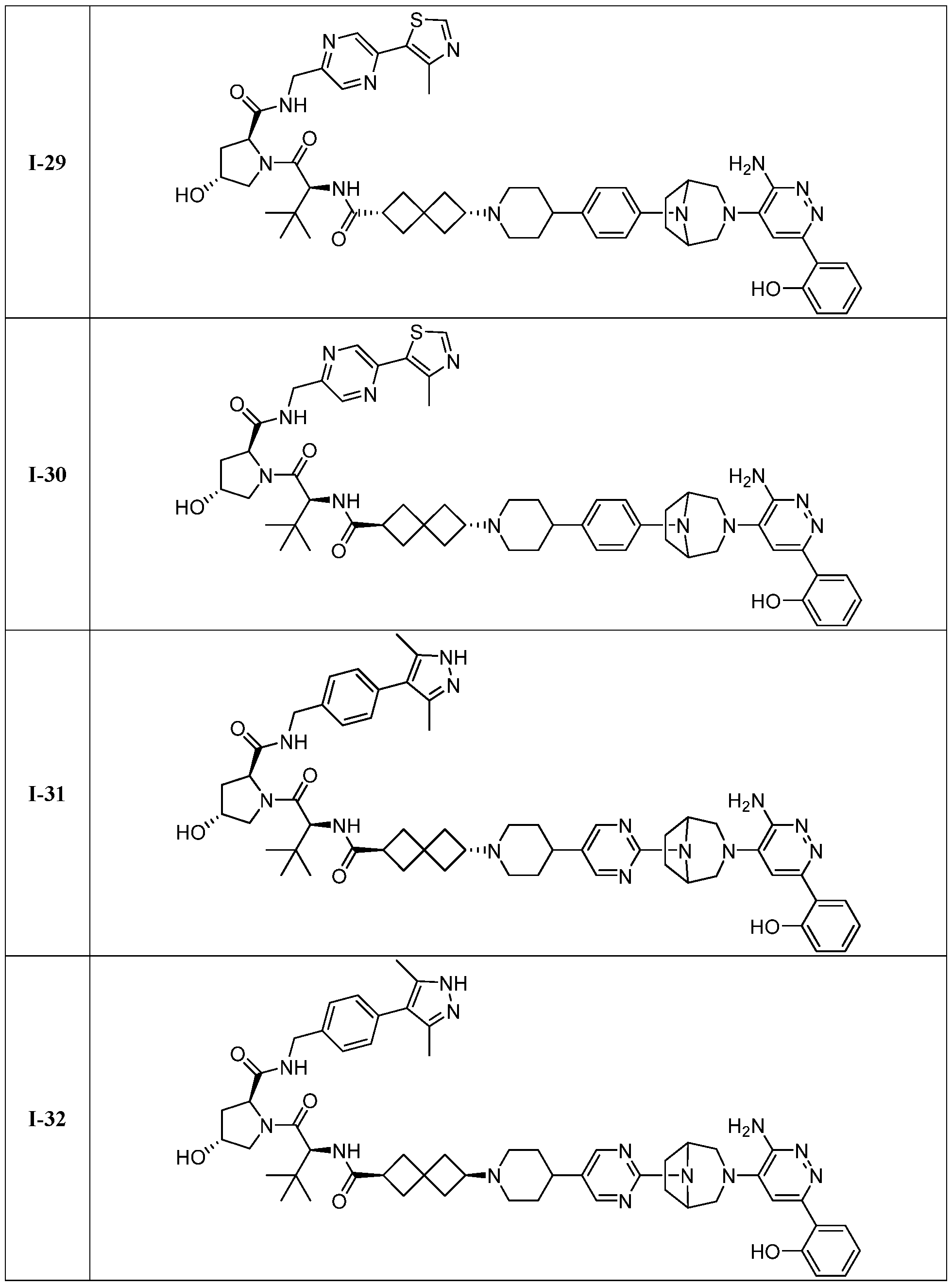 Figure imgf000261_0001