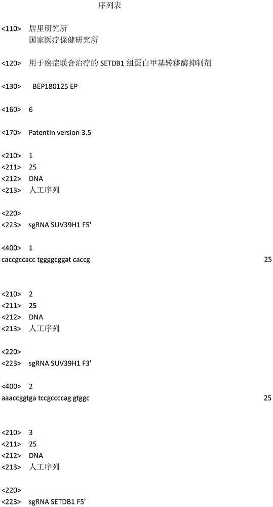 Figure IDA0002666456360000011