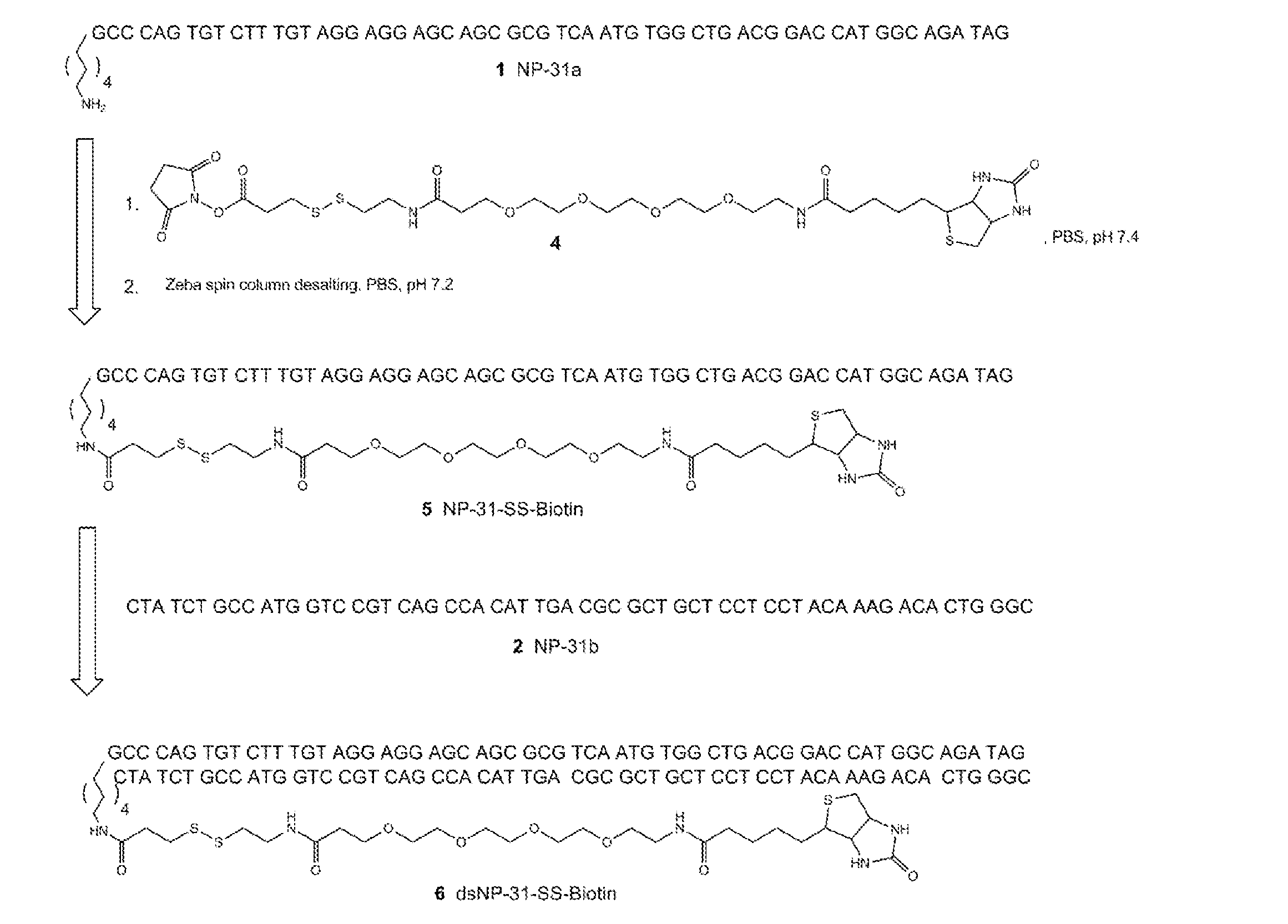 Figure imgf000188_0001