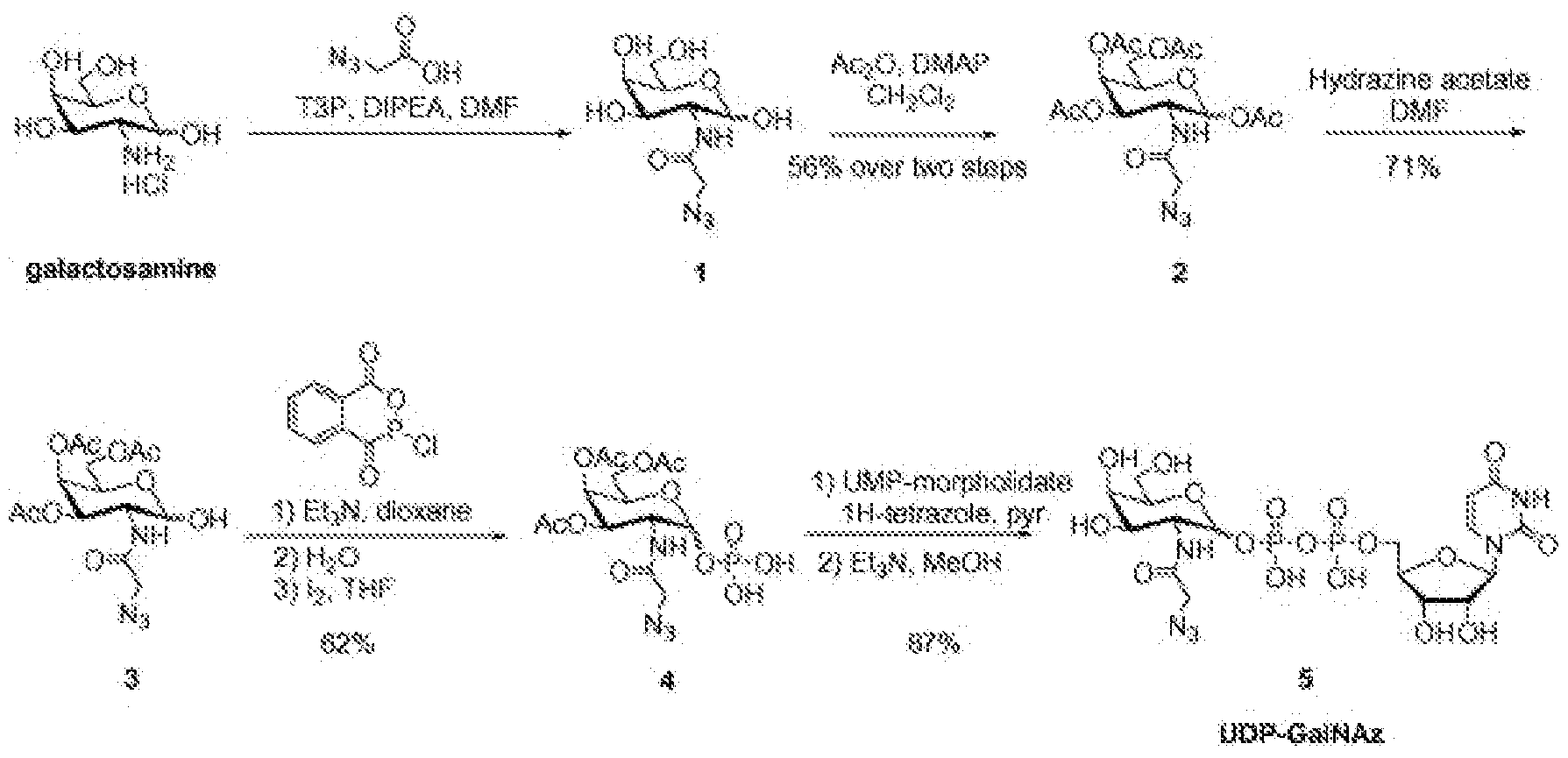 Figure imgf000044_0001