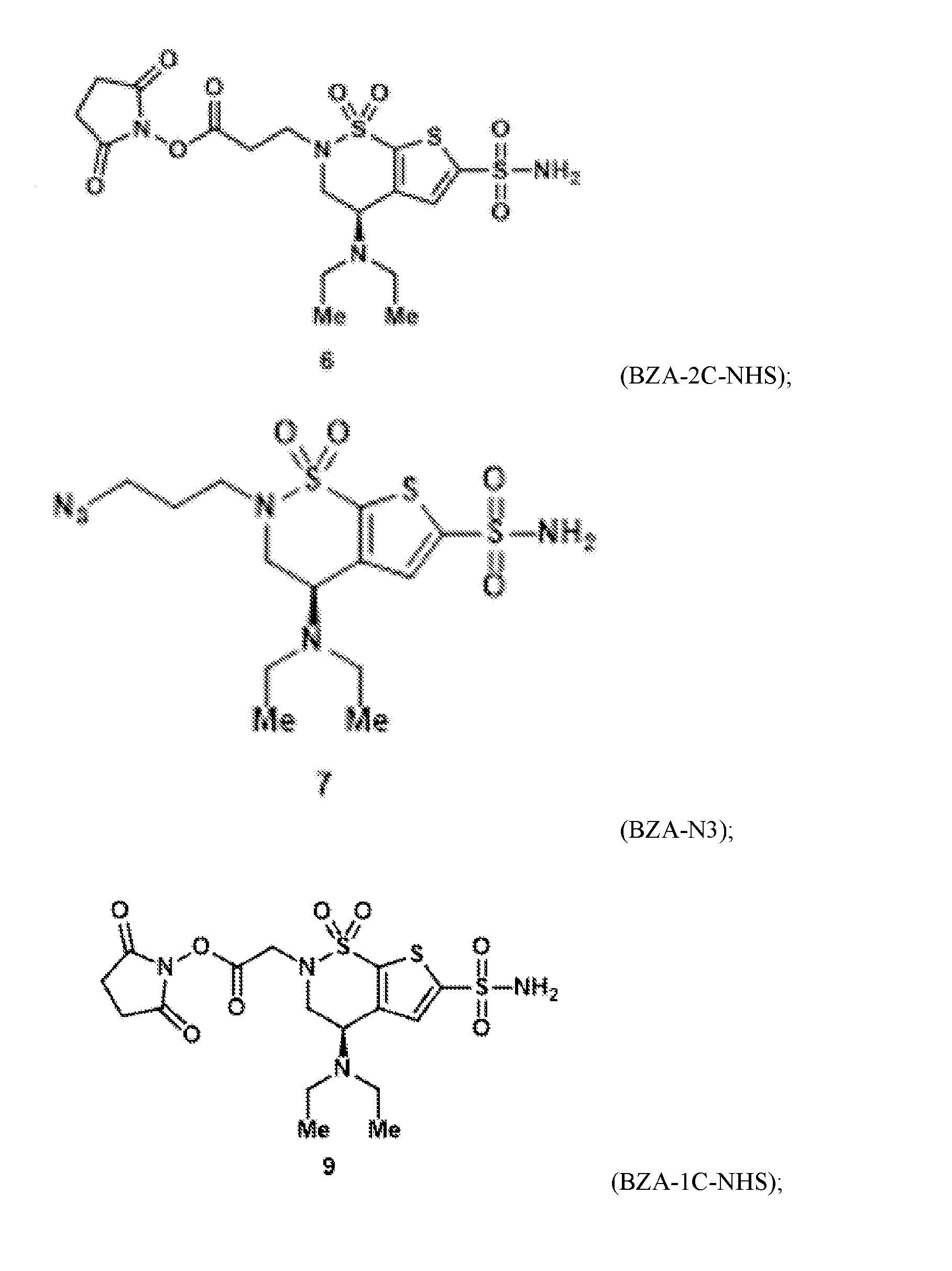 Figure imgf000101_0001