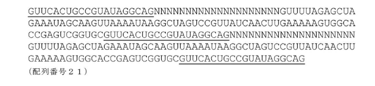 Figure 0007126588000016