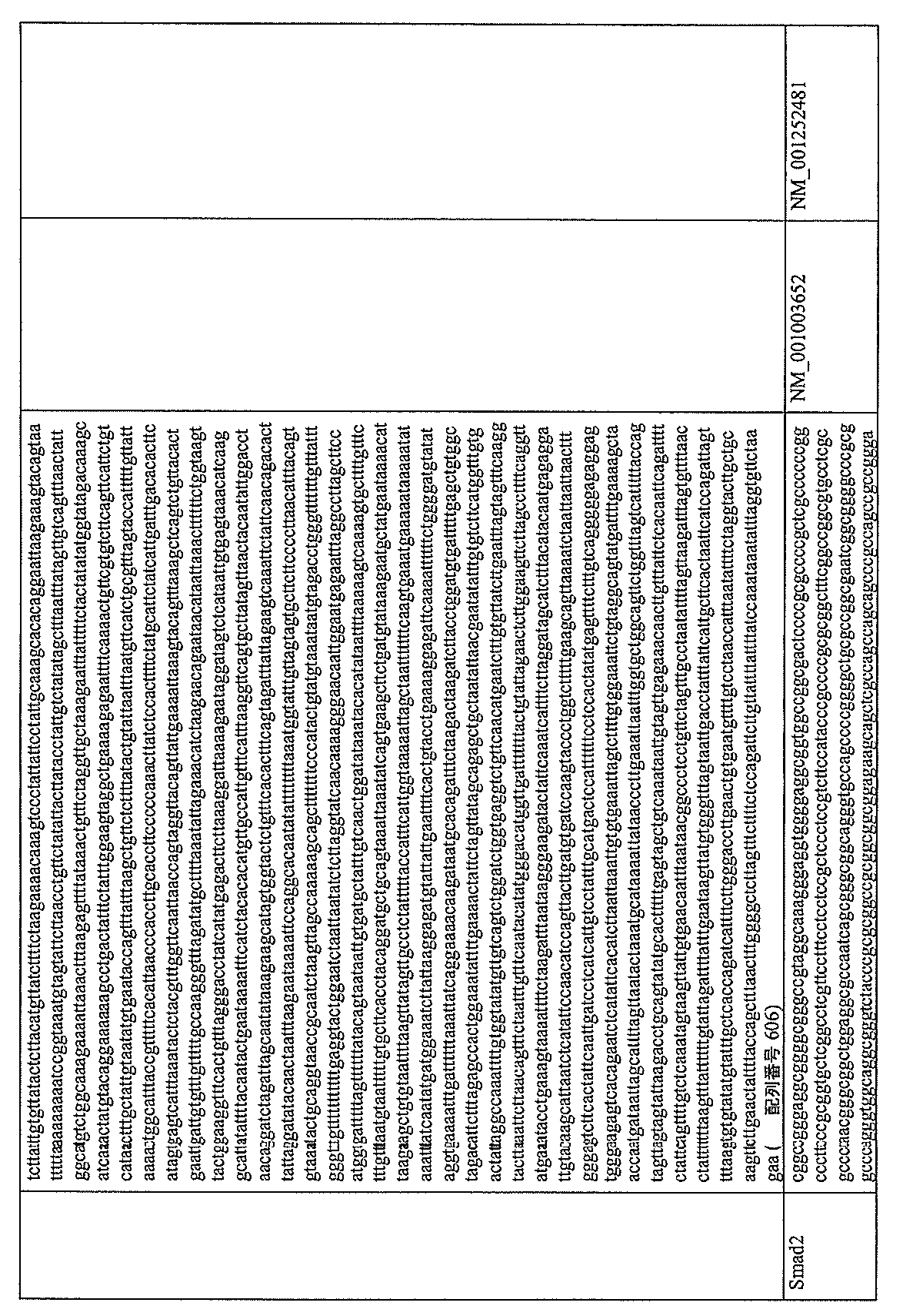 Figure 0007219254000005