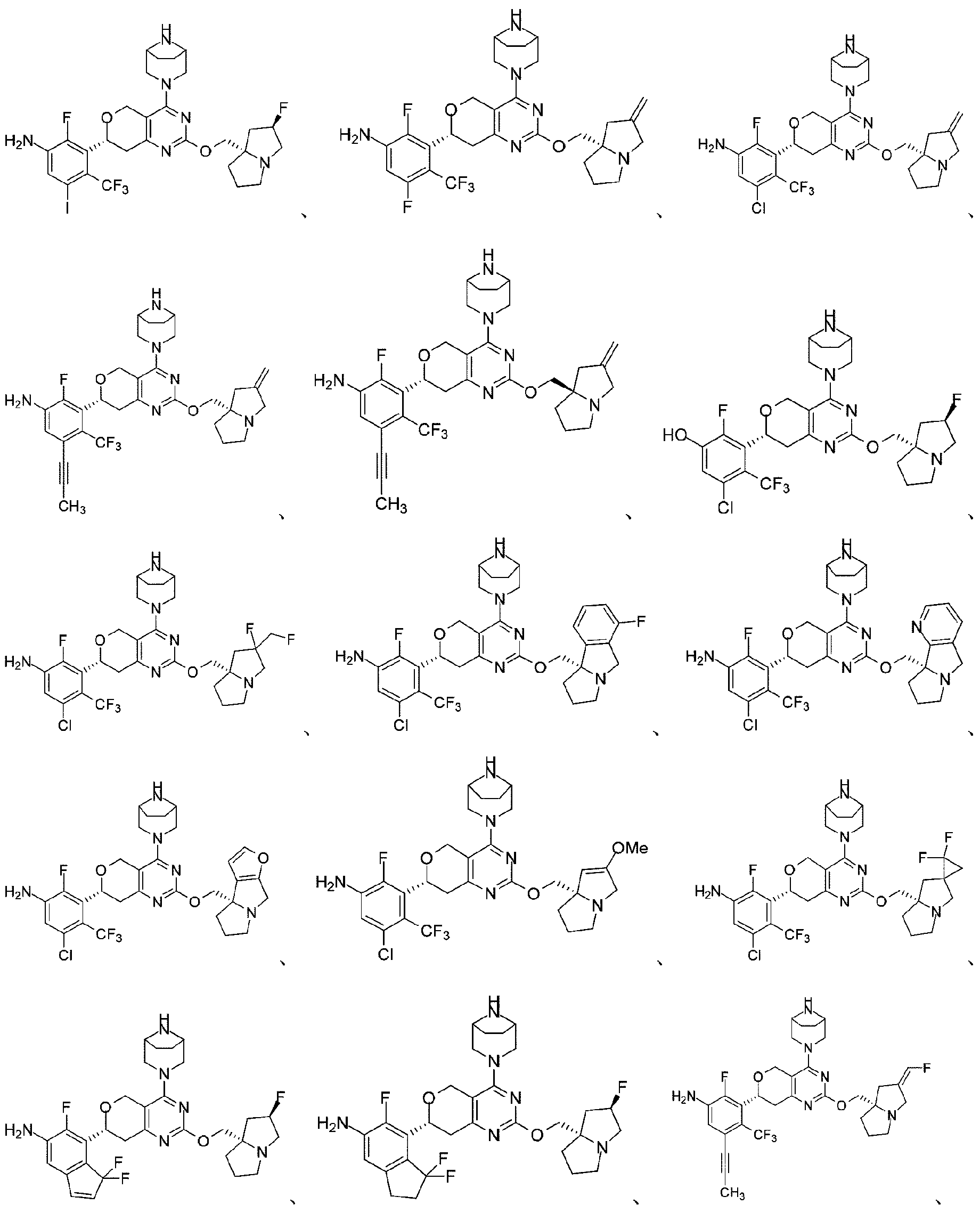 Figure 2025504491000152