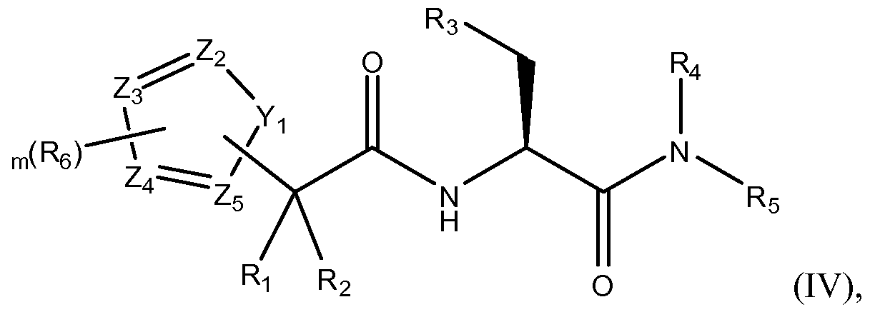 Figure imgf000018_0002