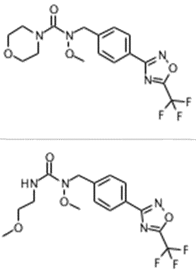 Figure imgf000260_0002