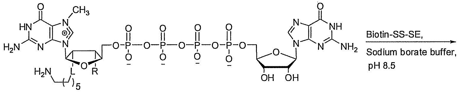 Figure imgf000046_0002