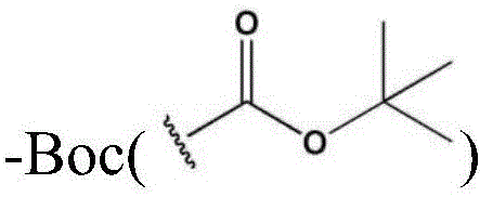 Figure BDA0002916459330000051