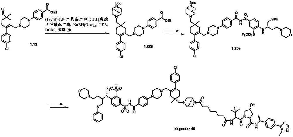 Figure BDA0003293294510001511