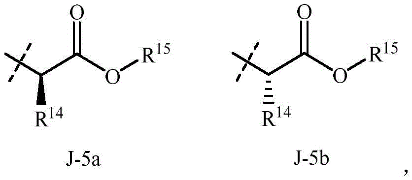 Figure BDA0002715387360000081