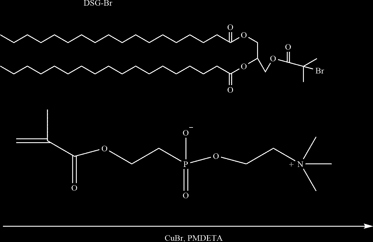 Figure US20230151129A1-20230518-C00017