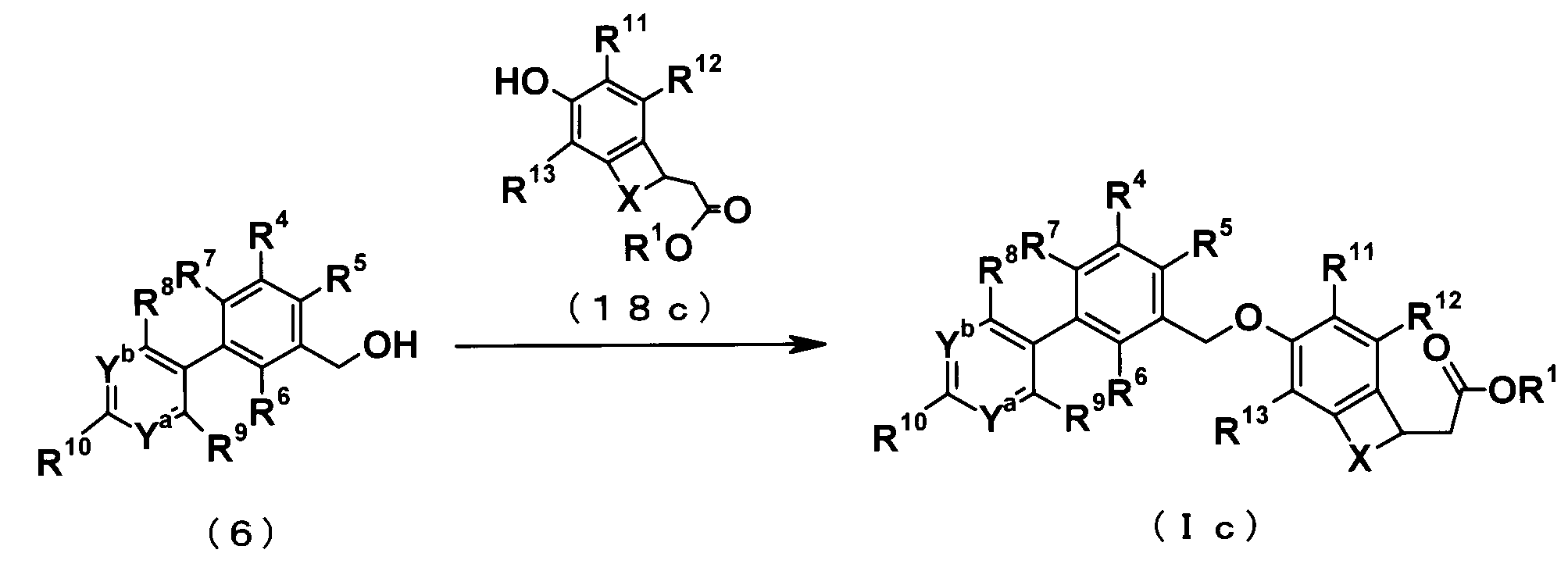 Figure JPOXMLDOC01-appb-C000021