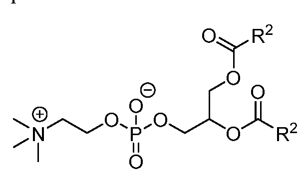 Figure imgf000100_0001