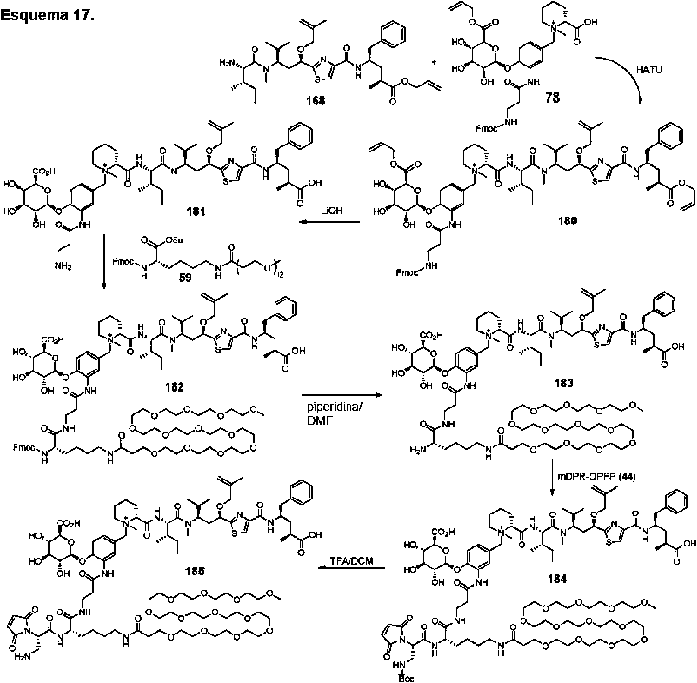 Figure imgf000098_0001