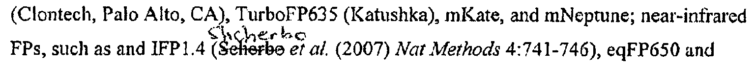 Figure imgf000033_0001