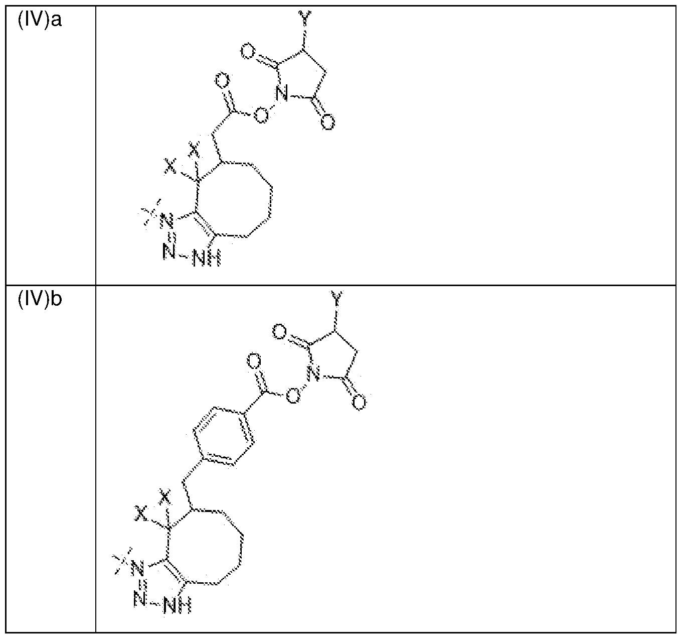 Figure imgf000052_0002