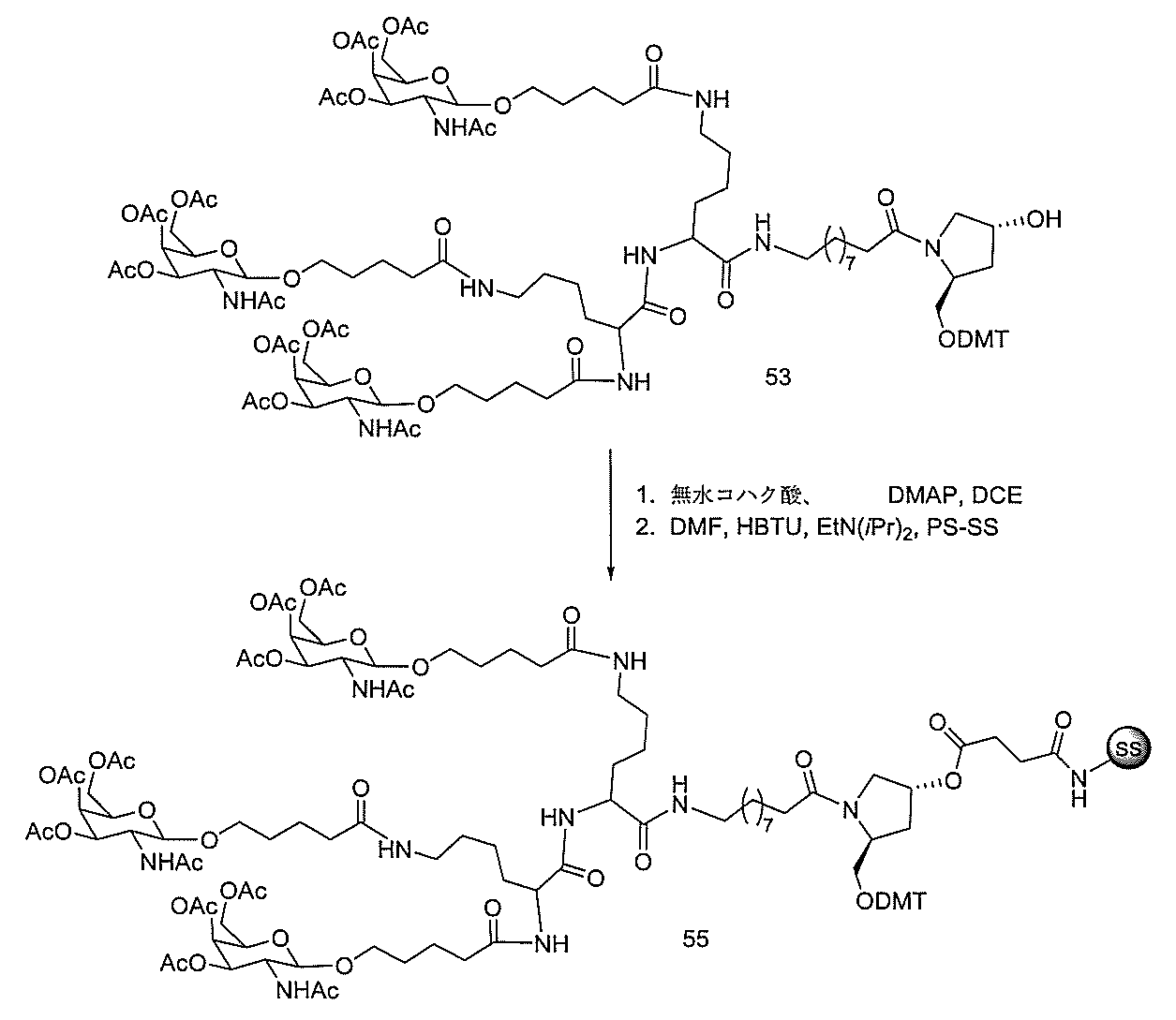 Figure 0006995478000142