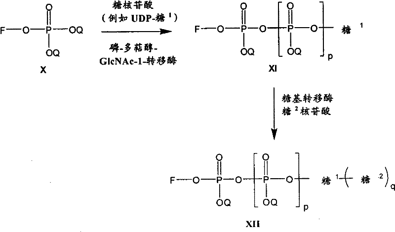 Figure BPA00001206677801211