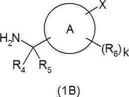 Figure JPOXMLDOC01-appb-C000215
