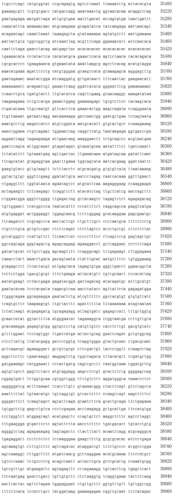 Figure BDA0002717577820005761