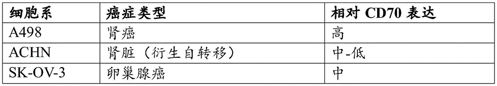 Figure BDA0002772276950001271