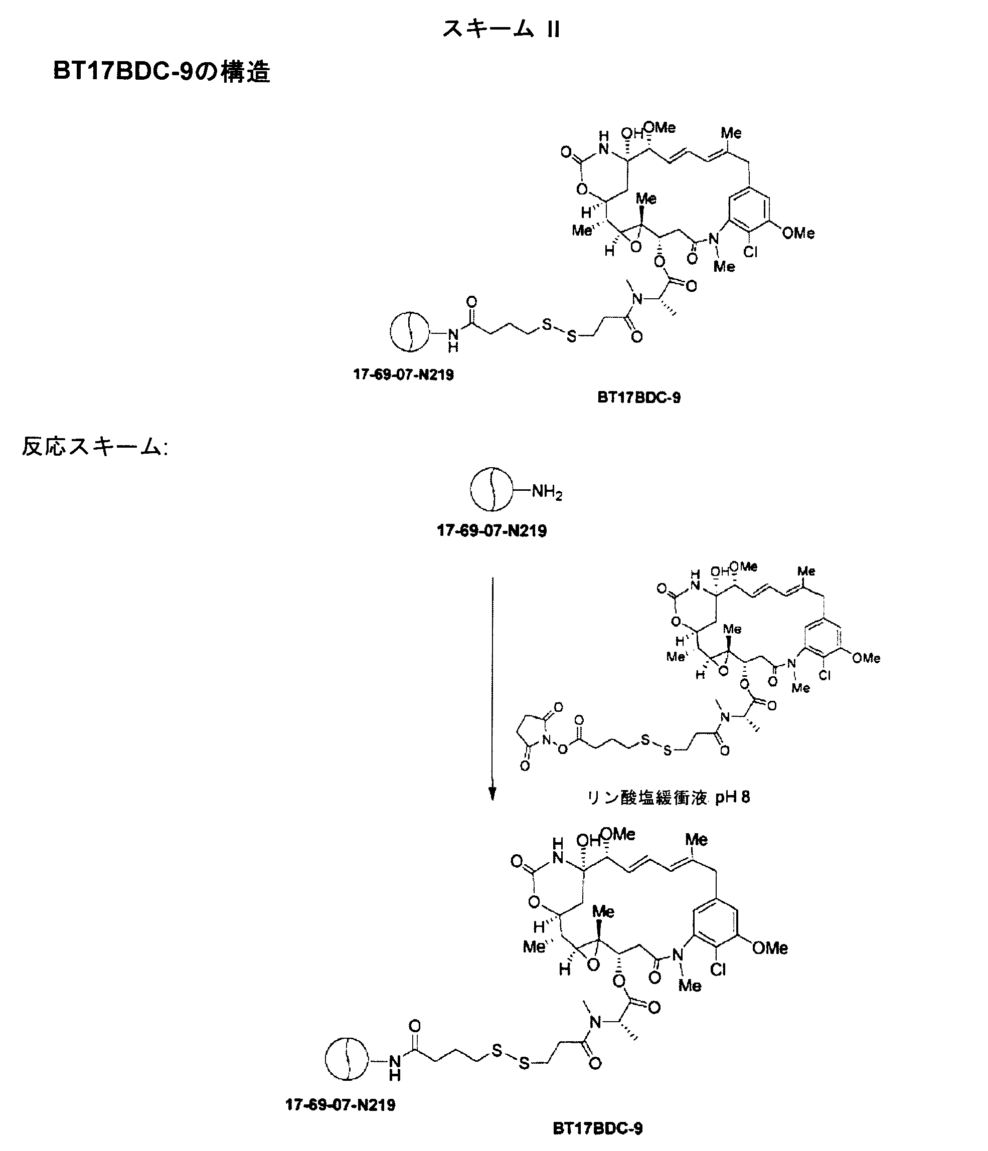 Figure 0007116217000030