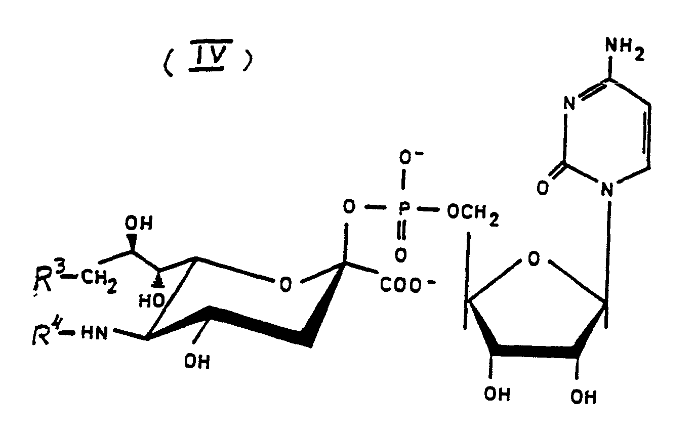 Figure imgf000007_0001
