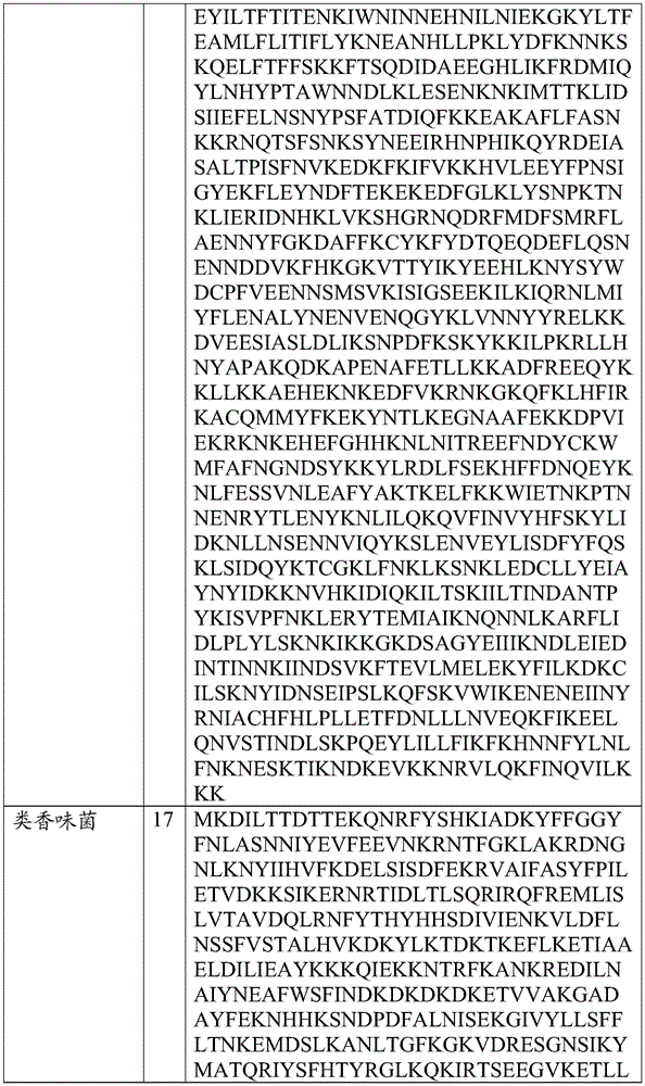 Figure BDA0002313867470002851
