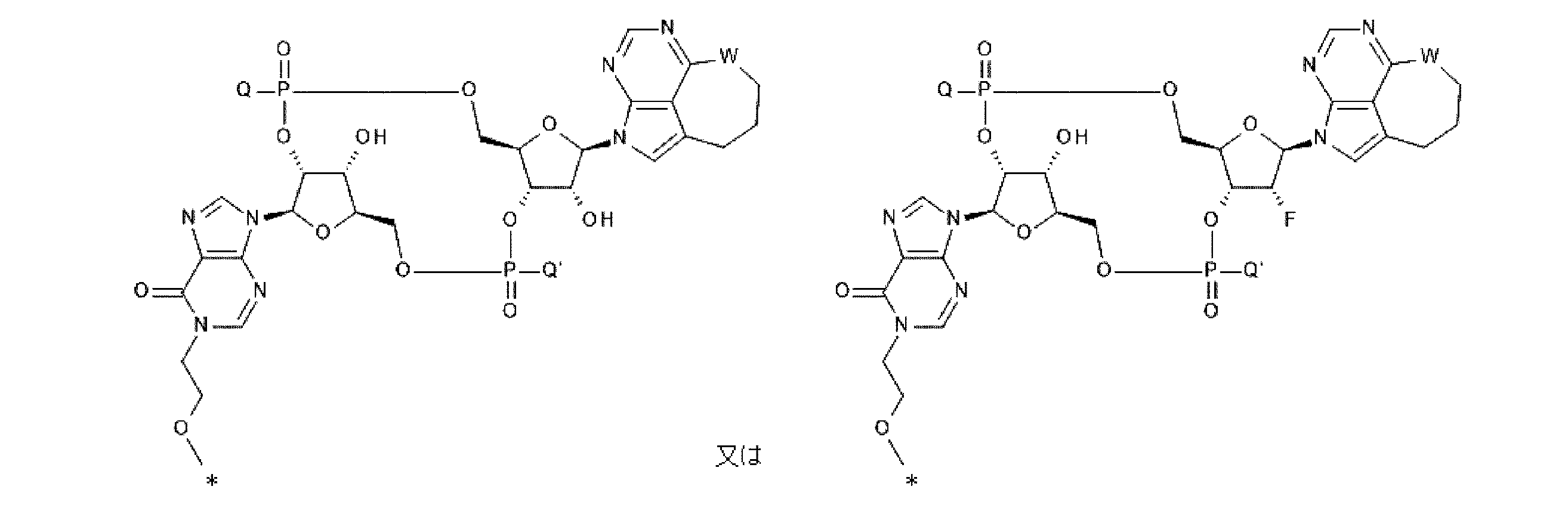 Figure JPOXMLDOC01-appb-C000052