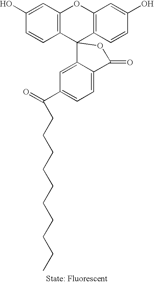 Figure US20060194218A1-20060831-C00008