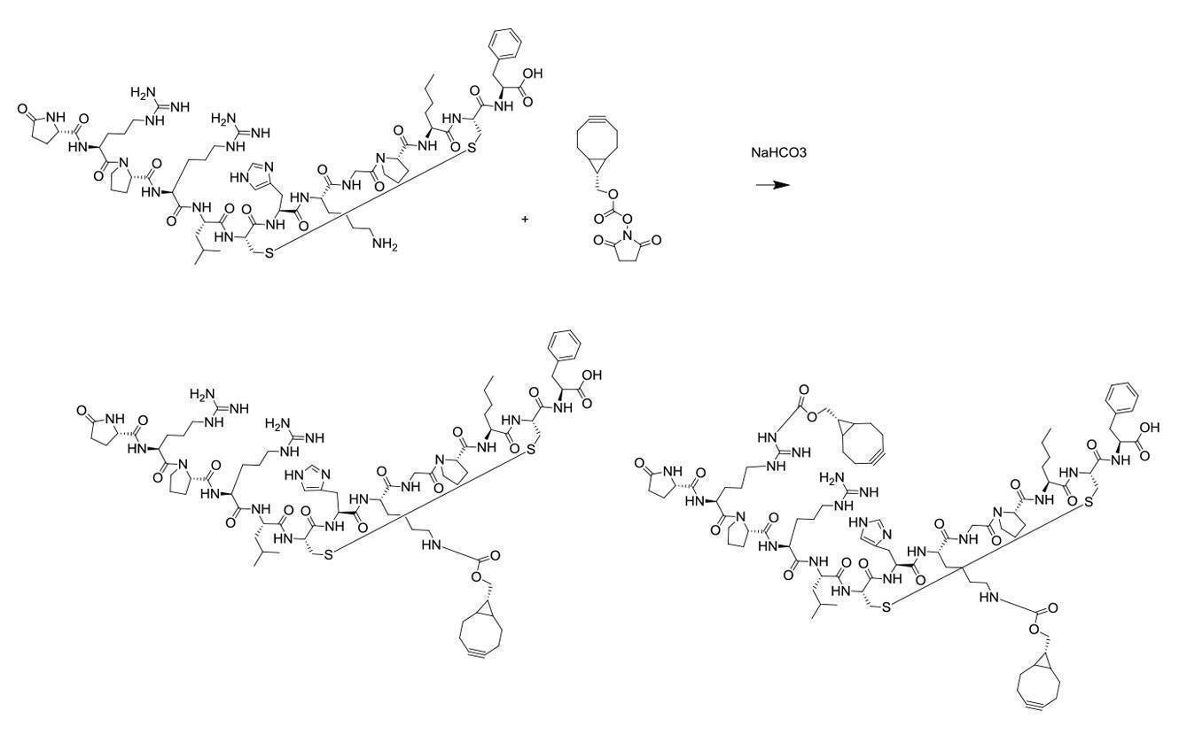 Figure 2022095757000159