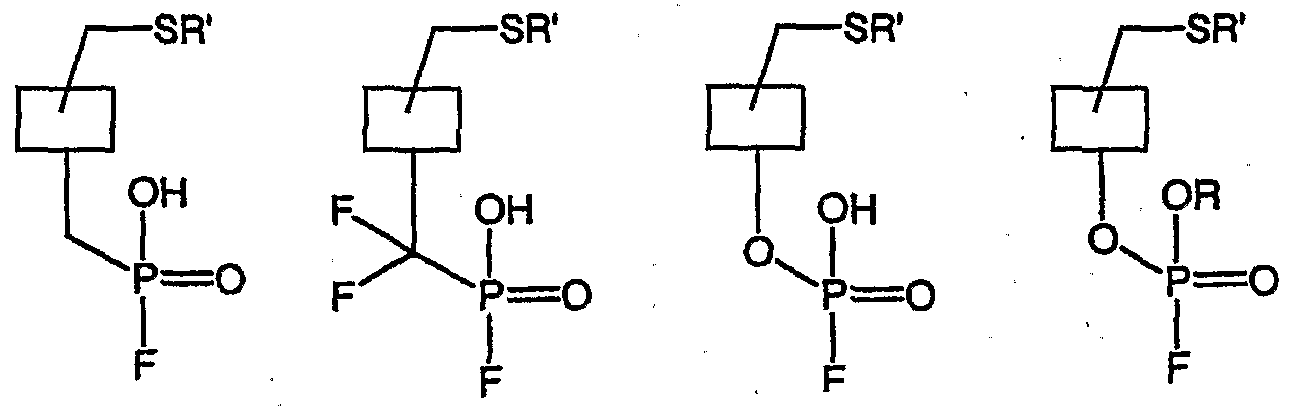 Figure imgf000033_0002
