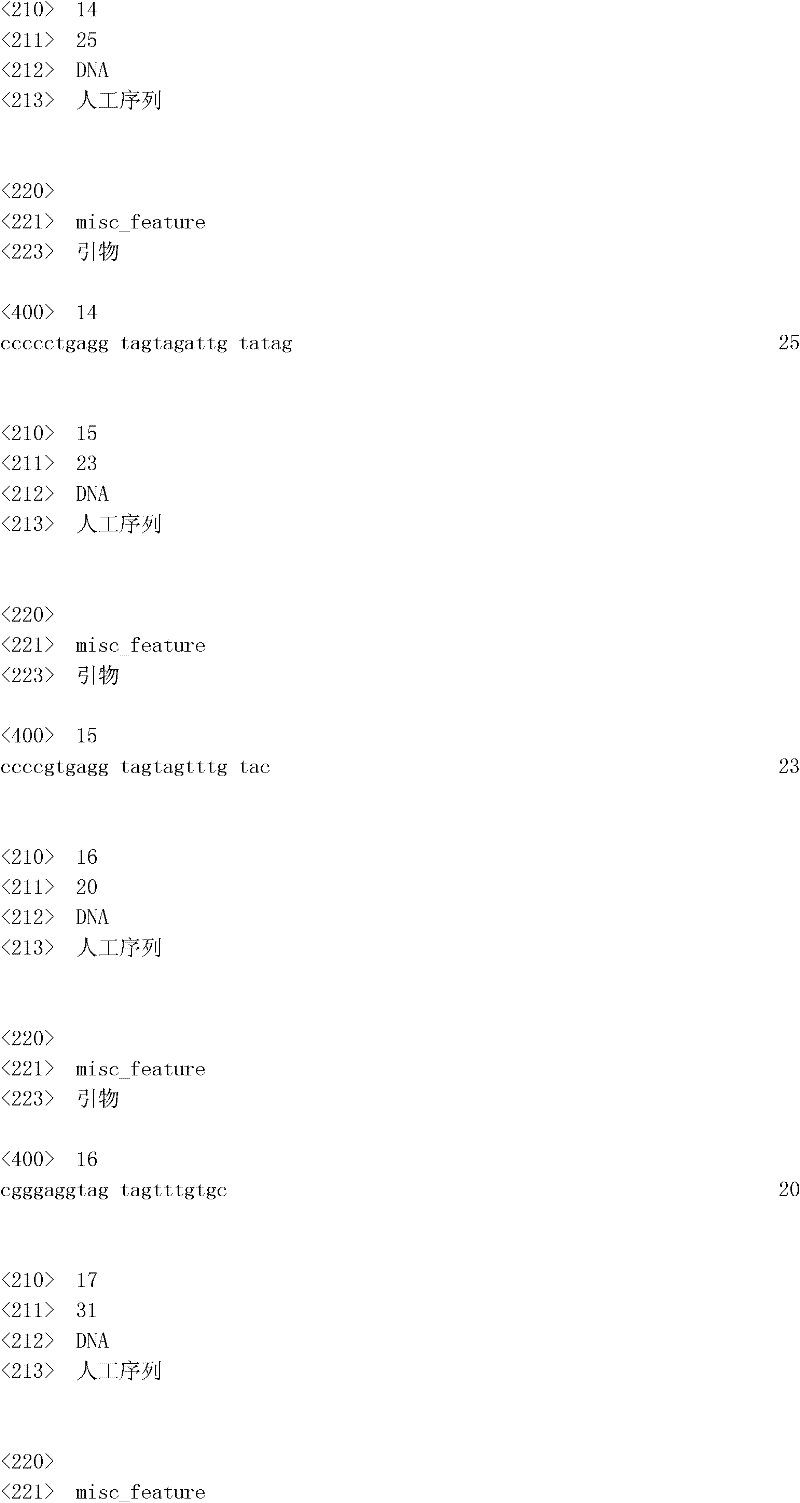 Figure IDA0000049169510000041